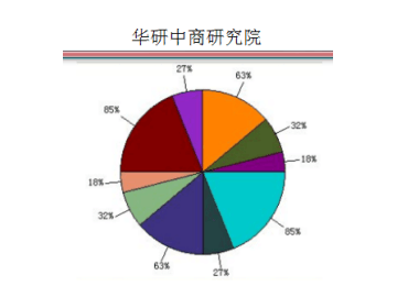 中國聚醚醚酮（PEEK）市場運(yùn)行態(tài)勢(shì)及發(fā)展戰(zhàn)略研究報(bào)告（2019~2025年）